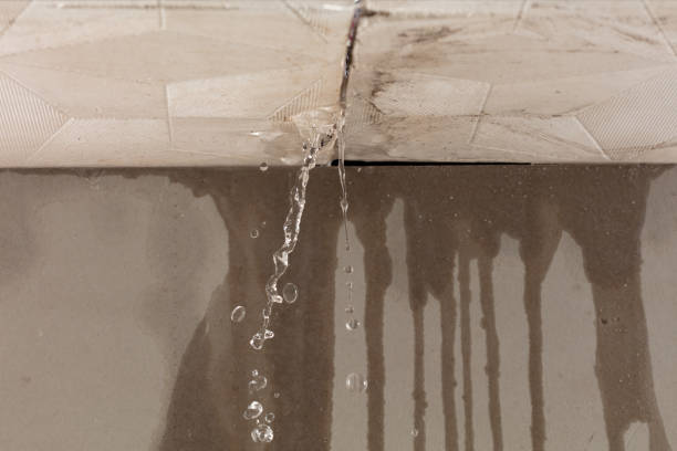 Professional Flood Damage Cleanup technician working in Olga, WA